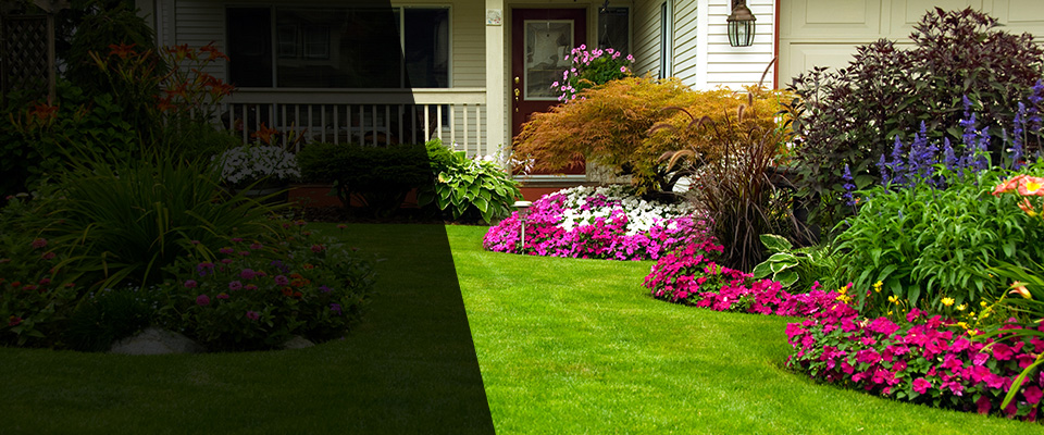 Dovray Landscapers