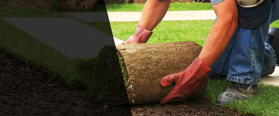 Dovray Landscapers